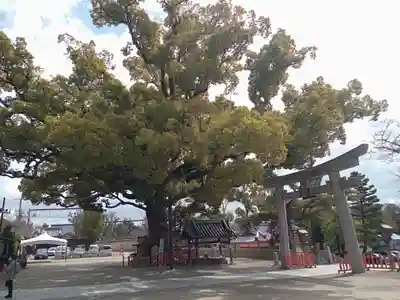 百舌鳥八幡宮の鳥居