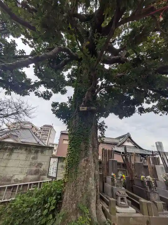 佛心寺(東京都)