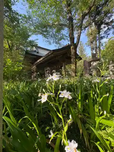 雄琴神社の{uncategorized: "未分類", other: "その他", undefined: "問題あり", building: "その他建物", grave: "お墓", sacred_gate: "鳥居", guardian: "狛犬", statue: "像", buddha: "仏像", history: "歴史", nature: "自然", garden: "庭園", animal: "動物", pagoda: "塔", temizu: "手水舎", mountain_gate: "山門・神門", sanctuary: "本殿・本堂", subordinate: "末社・摂社", art: "芸術", scenery: "景色", jizo: "地蔵", ema: "絵馬", goshuin: "御朱印", omikuji: "おみくじ", items: "授与品その他", amulet: "お守り", goshuincho: "御朱印帳", eats: "食事", festival: "お祭り", votive_dance: "神楽", shichigosan: "七五三参", wedding: "結婚式", experience: "体験その他", initially: "初詣", around: "周辺", anti_infection: "感染症対策"}