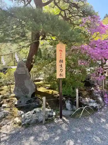 宝登山神社の{uncategorized: "未分類", other: "その他", undefined: "問題あり", building: "その他建物", grave: "お墓", sacred_gate: "鳥居", guardian: "狛犬", statue: "像", buddha: "仏像", history: "歴史", nature: "自然", garden: "庭園", animal: "動物", pagoda: "塔", temizu: "手水舎", mountain_gate: "山門・神門", sanctuary: "本殿・本堂", subordinate: "末社・摂社", art: "芸術", scenery: "景色", jizo: "地蔵", ema: "絵馬", goshuin: "御朱印", omikuji: "おみくじ", items: "授与品その他", amulet: "お守り", goshuincho: "御朱印帳", eats: "食事", festival: "お祭り", votive_dance: "神楽", shichigosan: "七五三参", wedding: "結婚式", experience: "体験その他", initially: "初詣", around: "周辺", anti_infection: "感染症対策"}