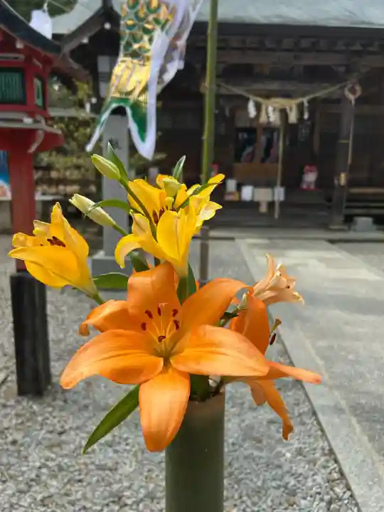 滑川神社 - 仕事と子どもの守り神(福島県)