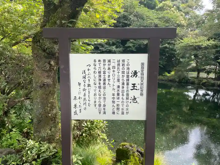 富士山本宮浅間大社(静岡県)