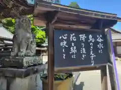 柳谷観音　楊谷寺(京都府)