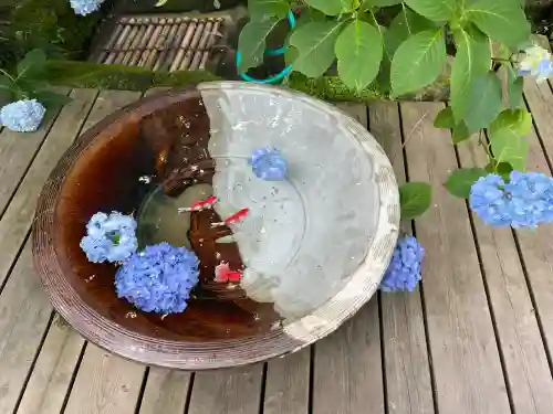 明月院(神奈川県)