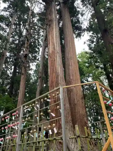 熊野大社(山形県)