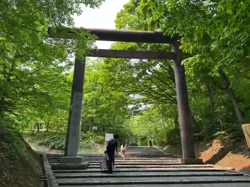 北海道神宮の鳥居