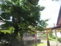 出流神社(埼玉県)