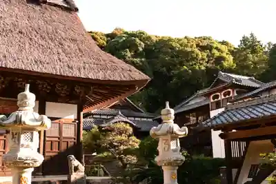 泉福寺(大分県)