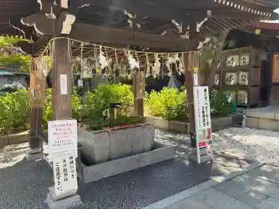 白山神社の{uncategorized: "未分類", other: "その他", undefined: "問題あり", building: "その他建物", grave: "お墓", sacred_gate: "鳥居", guardian: "狛犬", statue: "像", buddha: "仏像", history: "歴史", nature: "自然", garden: "庭園", animal: "動物", pagoda: "塔", temizu: "手水舎", mountain_gate: "山門・神門", sanctuary: "本殿・本堂", subordinate: "末社・摂社", art: "芸術", scenery: "景色", jizo: "地蔵", ema: "絵馬", goshuin: "御朱印", omikuji: "おみくじ", items: "授与品その他", amulet: "お守り", goshuincho: "御朱印帳", eats: "食事", festival: "お祭り", votive_dance: "神楽", shichigosan: "七五三参", wedding: "結婚式", experience: "体験その他", initially: "初詣", around: "周辺", anti_infection: "感染症対策"}