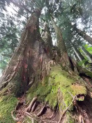 玉置神社(奈良県)