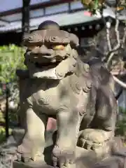 白山神社の狛犬