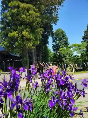 高司神社〜むすびの神の鎮まる社〜(福島県)