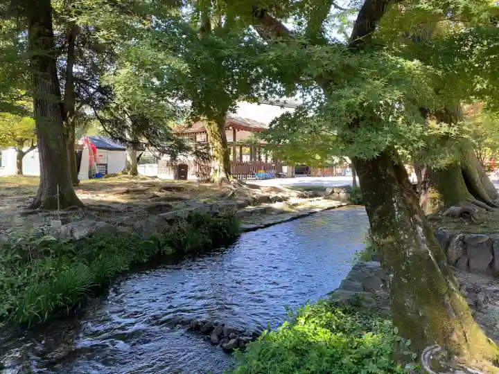 賀茂別雷神社(上賀茂神社)(京都府)