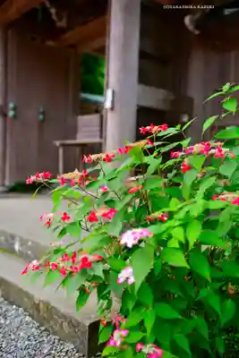 佛日庵(神奈川県)