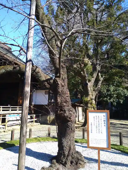 靖國神社の庭園