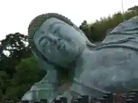 南蔵院(福岡県)