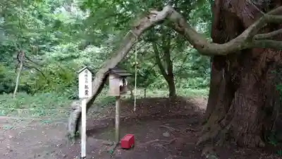 伊佐須美神社のその他建物