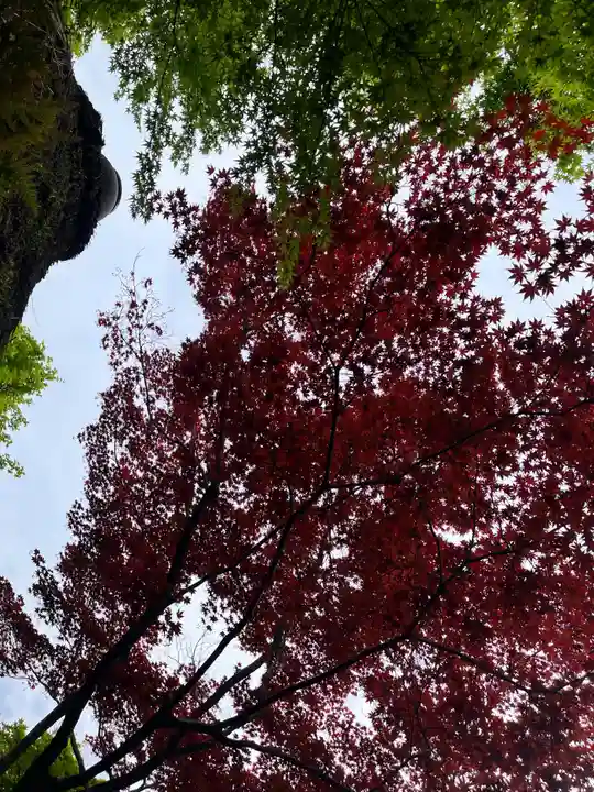 華厳寺(鈴虫寺)(京都府)
