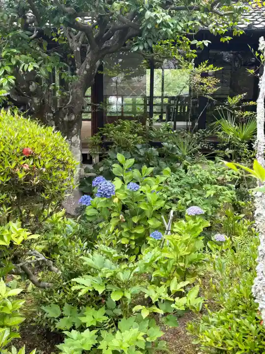 聖林寺(奈良県)