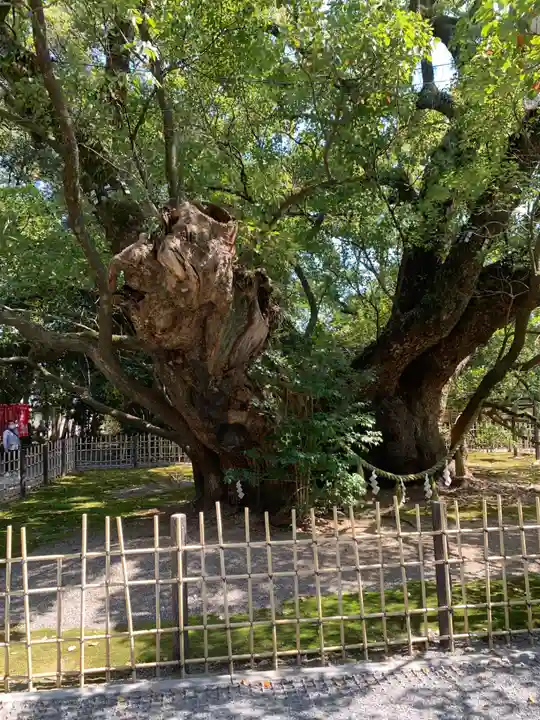 浜松八幡宮(静岡県)