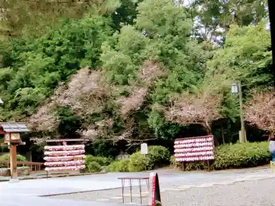 櫻木神社のその他建物