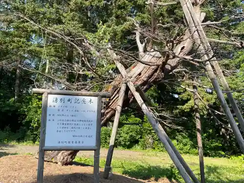 芭露神社の自然