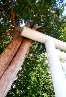 意冨比神社のその他建物