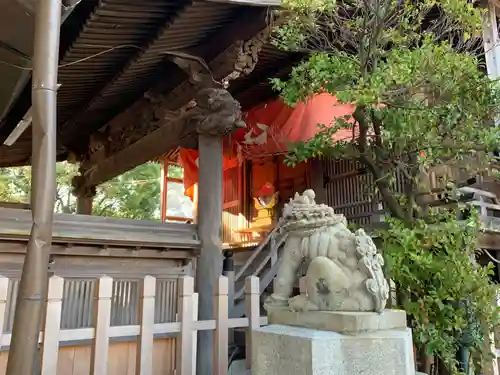 鷲尾愛宕神社の狛犬