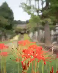 横浜　西方寺(神奈川県)