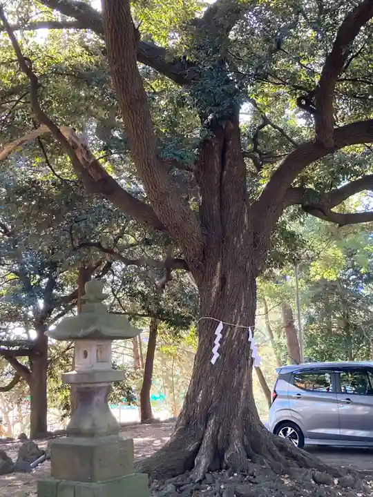 八雲神社(神奈川県)