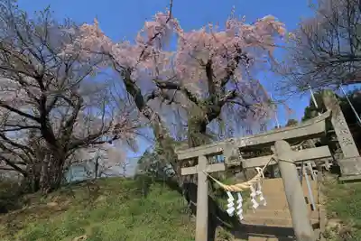 見渡神社の鳥居