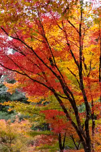 大矢田神社(岐阜県)