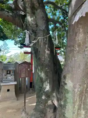 岩屋神社(兵庫県)