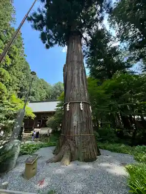 河口浅間神社(山梨県)