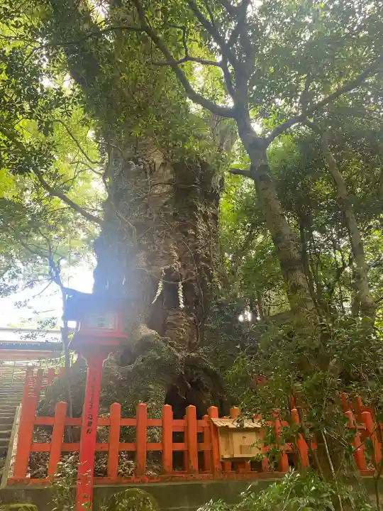 新田神社(鹿児島県)