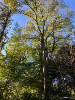 來宮神社(静岡県)