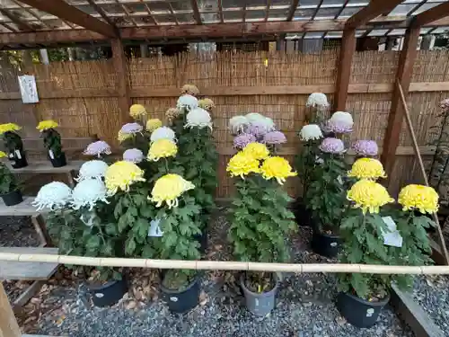 諏訪大社下社秋宮(長野県)