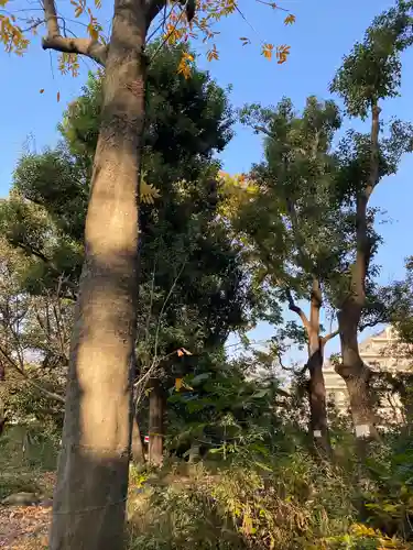 布多天神社の自然