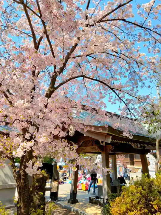 丸子神社 浅間神社(静岡県)