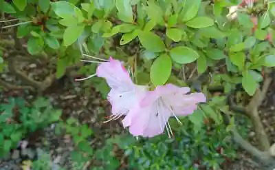 養食山 常泉寺(神奈川県)