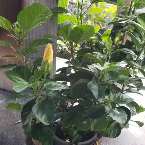 妙蓮寺のその他建物