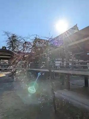 妙法寺(東京都)