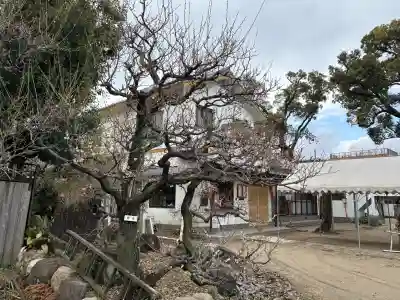 難波熊野神社(兵庫県)