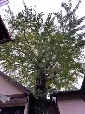 貴船神社の自然