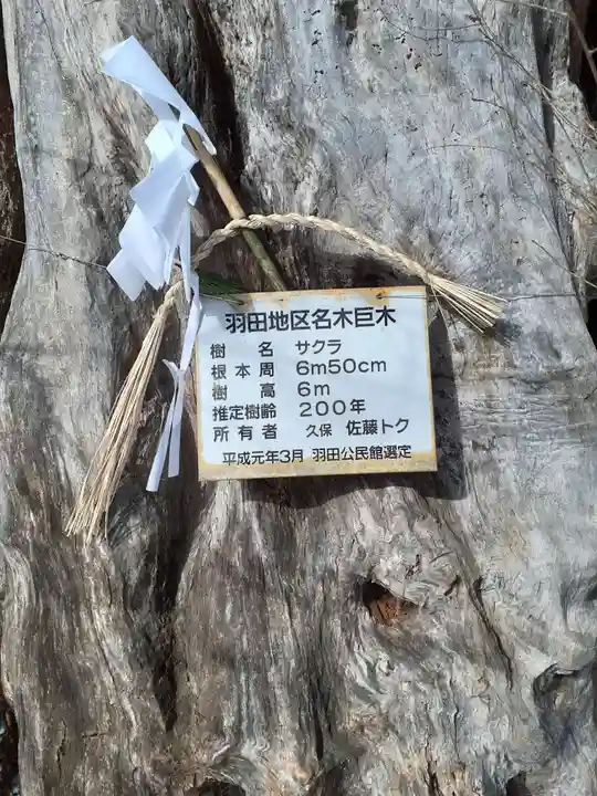 宝柳大権現(岩手県)