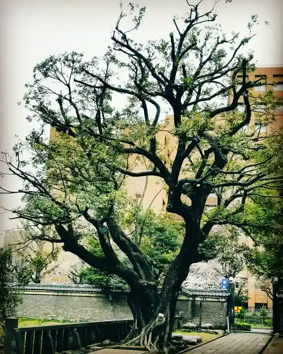 湯島聖堂のその他建物