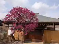 鳳林寺(東京都)