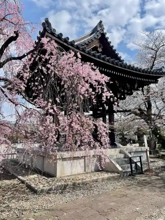 吉祥寺の{uncategorized: "未分類", other: "その他", undefined: "問題あり", building: "その他建物", grave: "お墓", sacred_gate: "鳥居", guardian: "狛犬", statue: "像", buddha: "仏像", history: "歴史", nature: "自然", garden: "庭園", animal: "動物", pagoda: "塔", temizu: "手水舎", mountain_gate: "山門・神門", sanctuary: "本殿・本堂", subordinate: "末社・摂社", art: "芸術", scenery: "景色", jizo: "地蔵", ema: "絵馬", goshuin: "御朱印", omikuji: "おみくじ", items: "授与品その他", amulet: "お守り", goshuincho: "御朱印帳", eats: "食事", festival: "お祭り", votive_dance: "神楽", shichigosan: "七五三参", wedding: "結婚式", experience: "体験その他", initially: "初詣", around: "周辺", anti_infection: "感染症対策"}