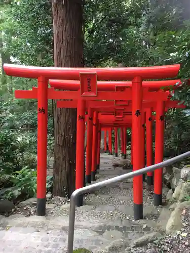 白笹稲荷神社の鳥居