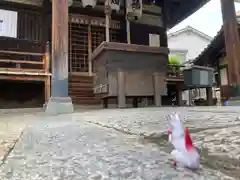 河堀稲生神社の本殿